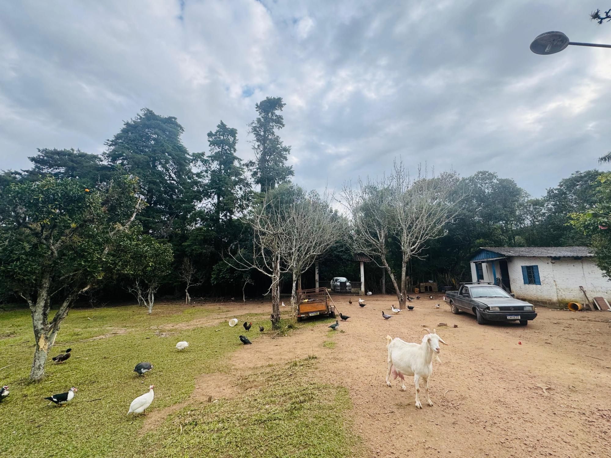 Chácara à venda com 2 quartos, 1m² - Foto 15
