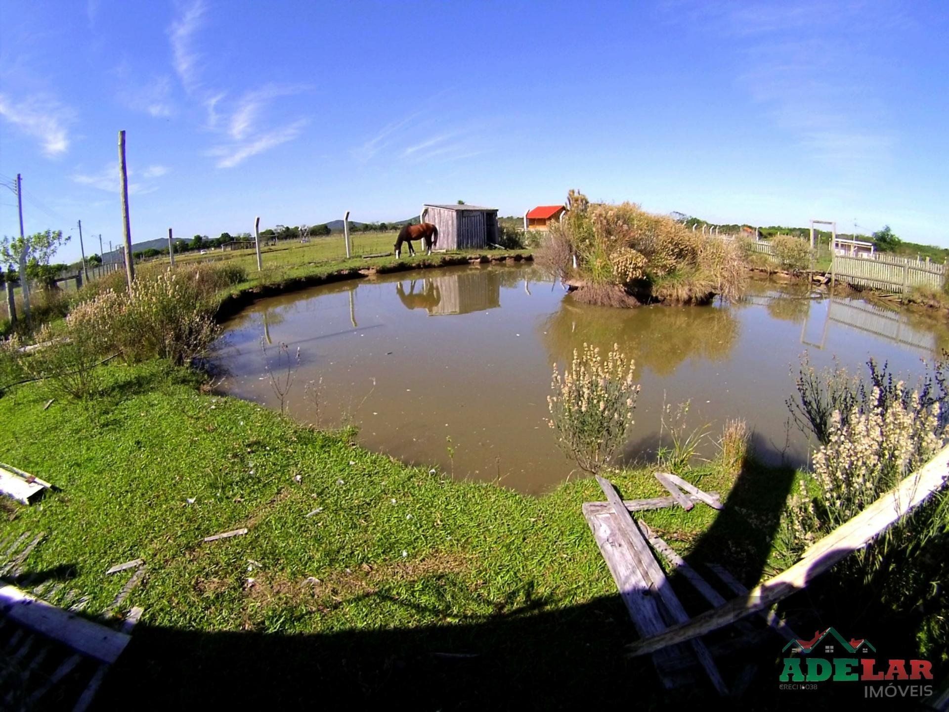 Chácara, 2 quartos, 2 hectares - Foto 39