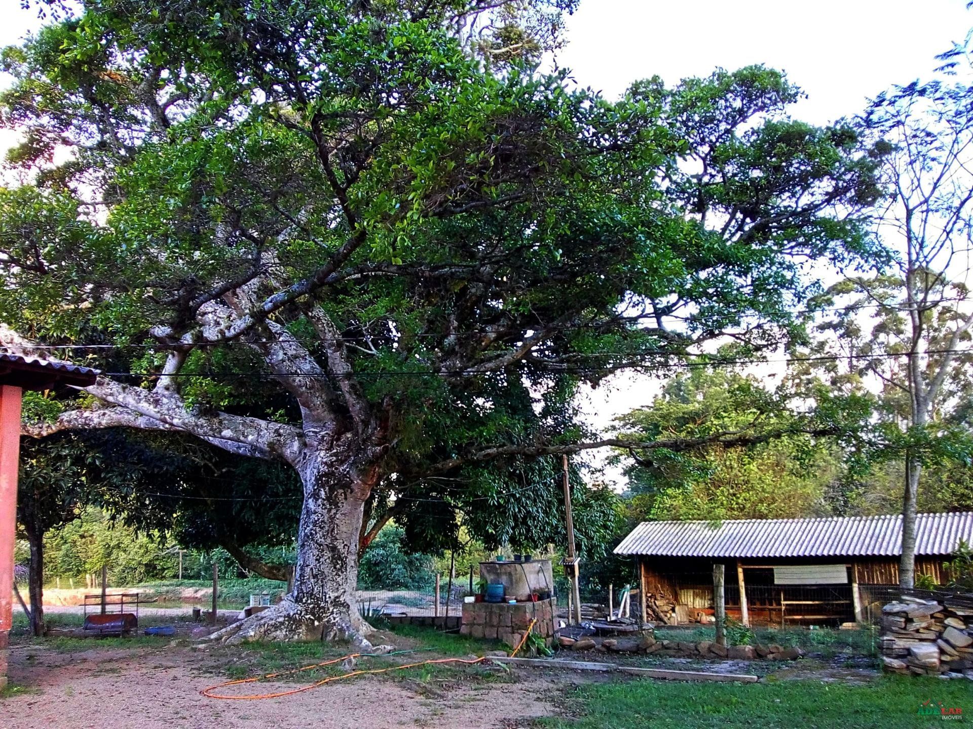 Sítio à venda com 2 quartos, 30000m² - Foto 40