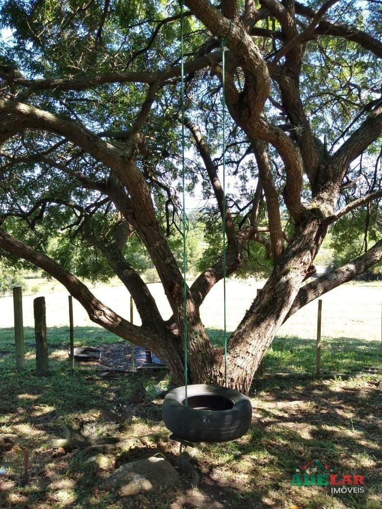 Sítio à venda com 4 quartos, 76737m² - Foto 38