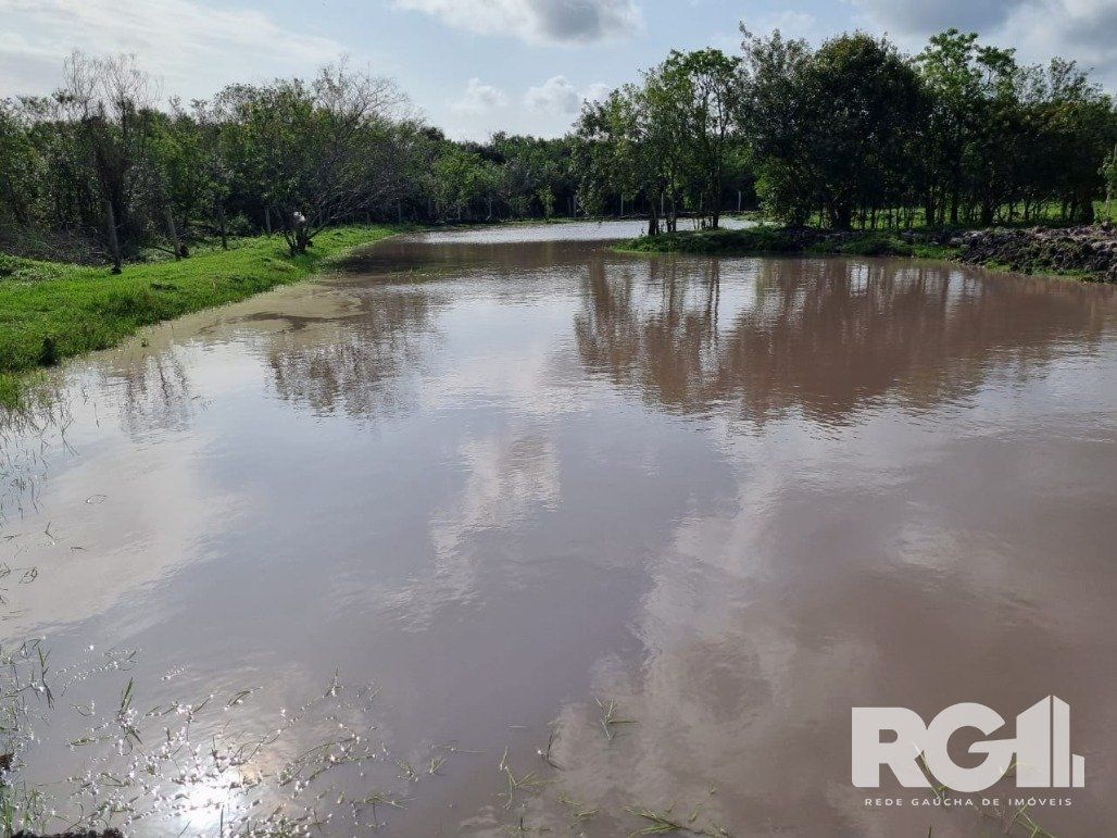 Chácara, 2 quartos, 2 hectares - Foto 80