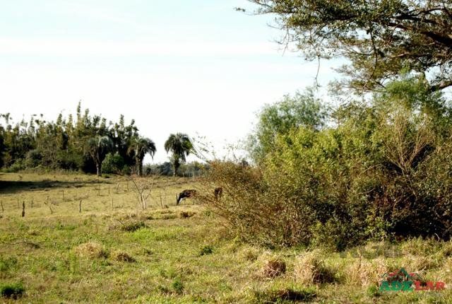 Sítio à venda com 1 quarto, 390000m² - Foto 18