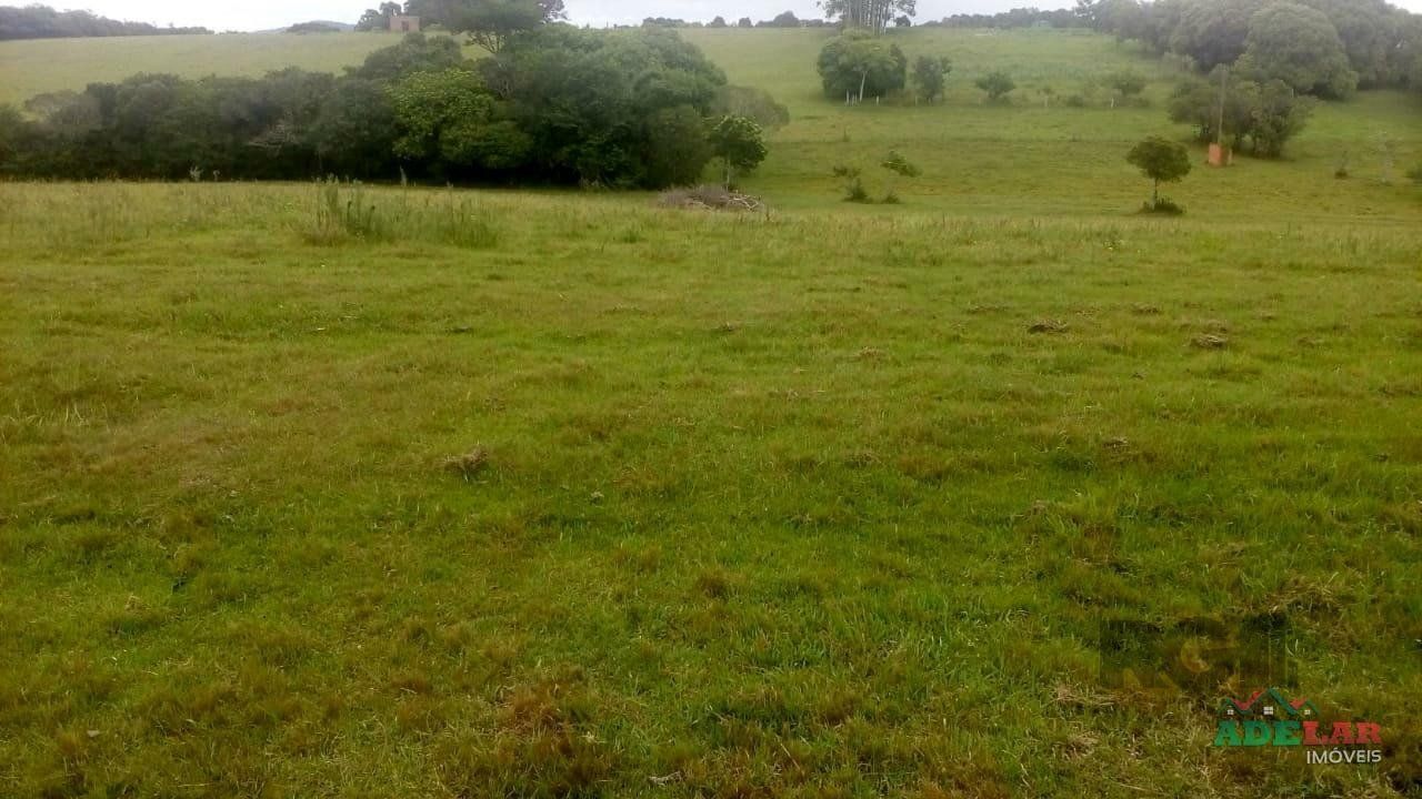 Sítio, 2 quartos, 10 hectares - Foto 34