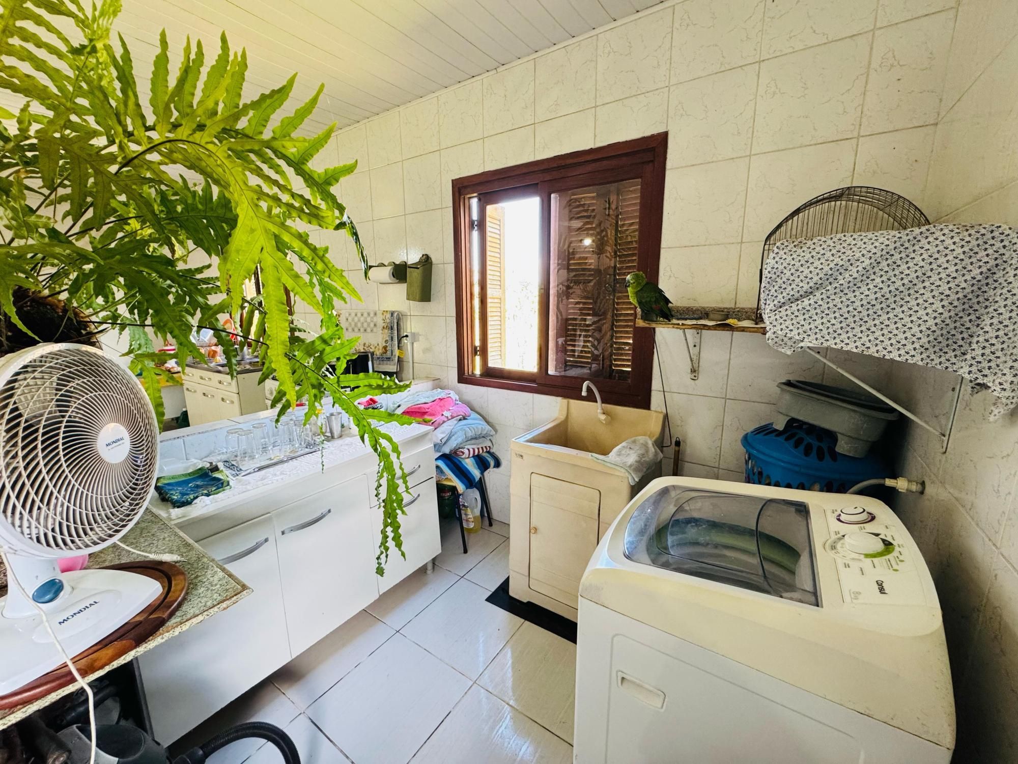 Sítio à venda com 3 quartos, 1000m² - Foto 14