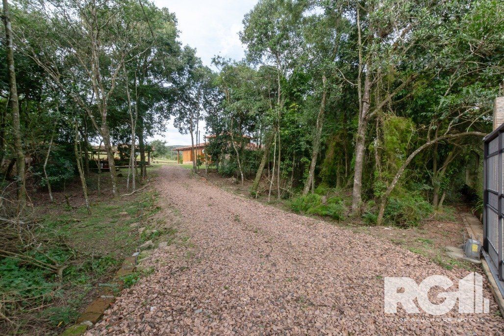 Sítio, 4 quartos, 6649 m² - Foto 4