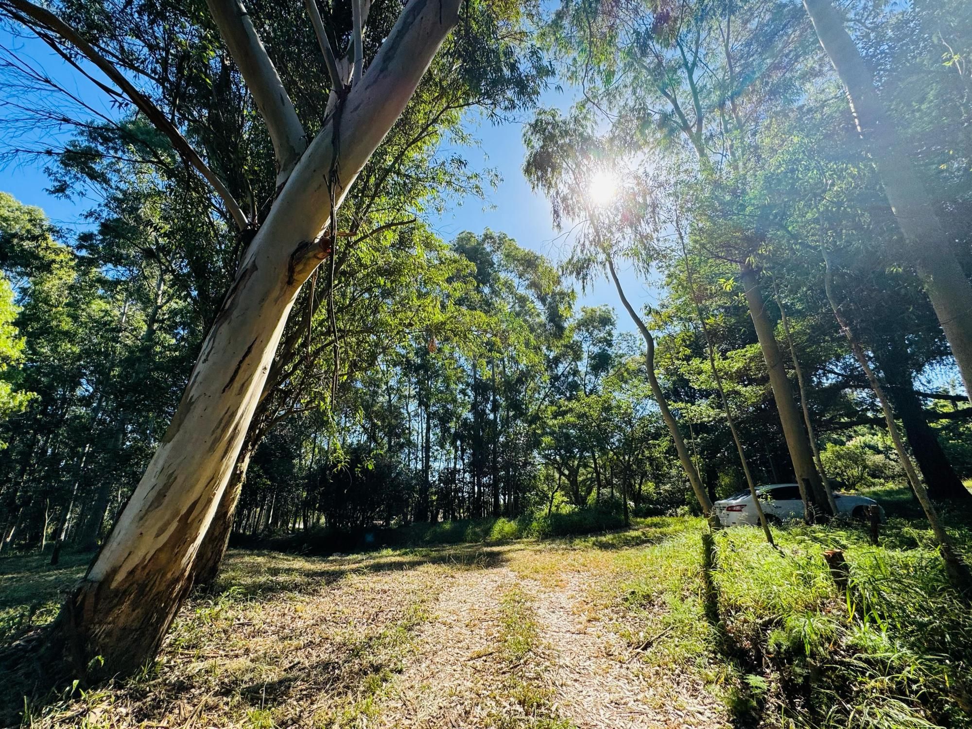 Sítio, 225 m² - Foto 3