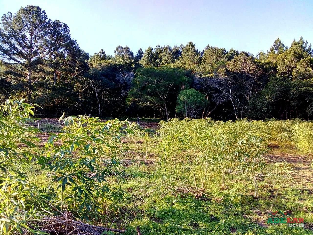 Sítio à venda com 2 quartos, 30000m² - Foto 100