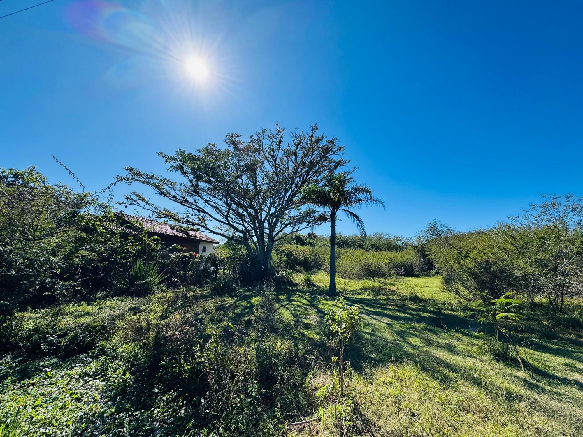 Terreno, 1000 m² - Foto 2