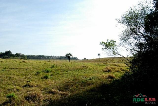 Sítio à venda com 1 quarto, 390000m² - Foto 10