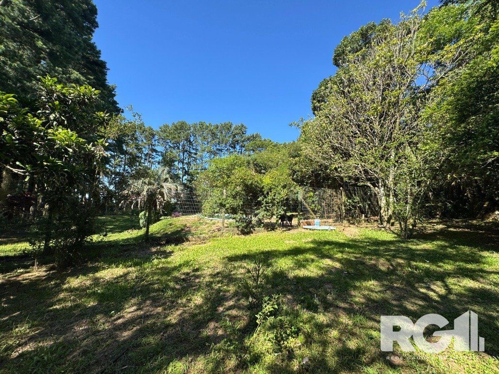 Fazenda à venda com 3 quartos, 141m² - Foto 14