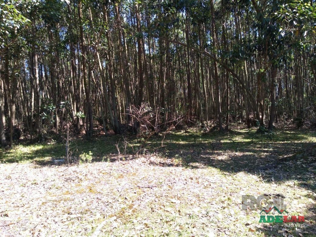 Sítio à venda com 4 quartos, 76737m² - Foto 26