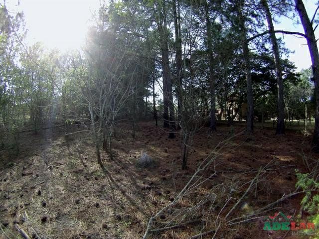 Terreno à venda, 3060m² - Foto 8