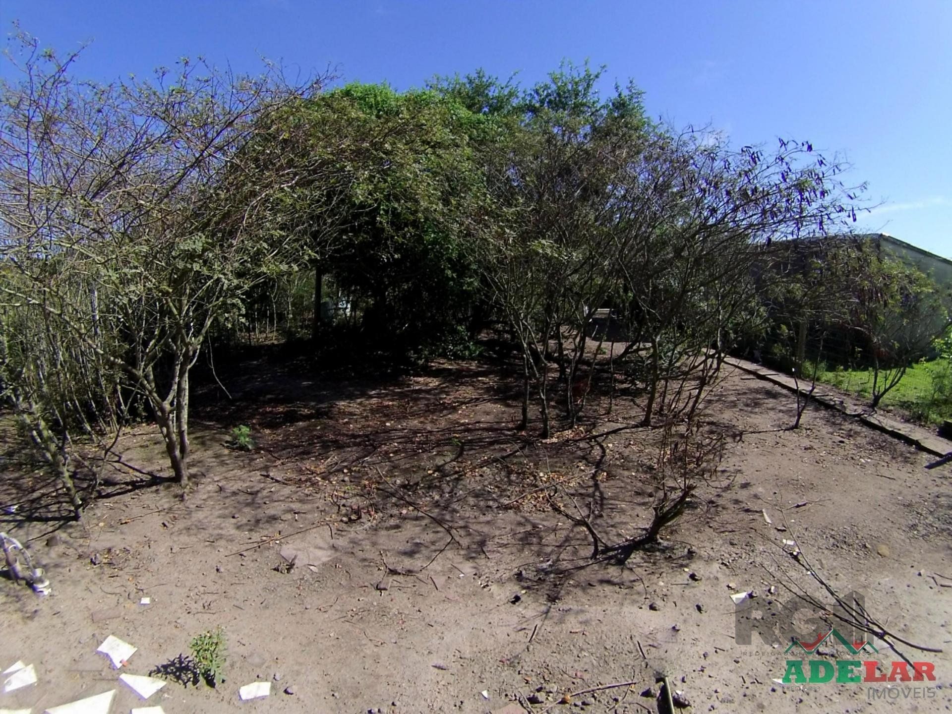 Chácara, 2 quartos, 2 hectares - Foto 62