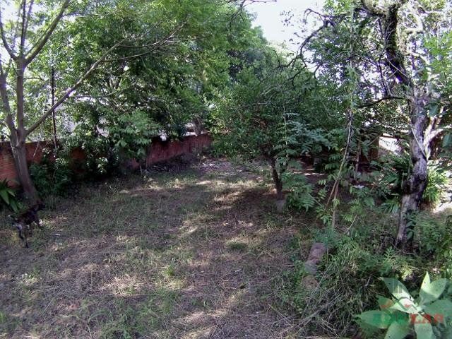 Terreno à venda, 1800m² - Foto 3