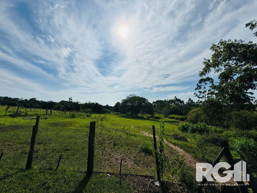 Chácara, 3 quartos, 2 hectares - Foto 19