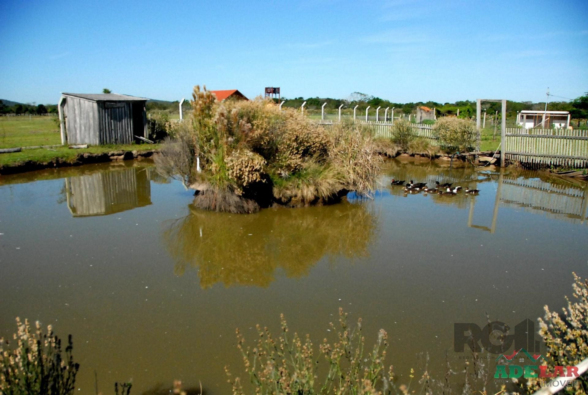 Chácara, 2 quartos, 2 hectares - Foto 6