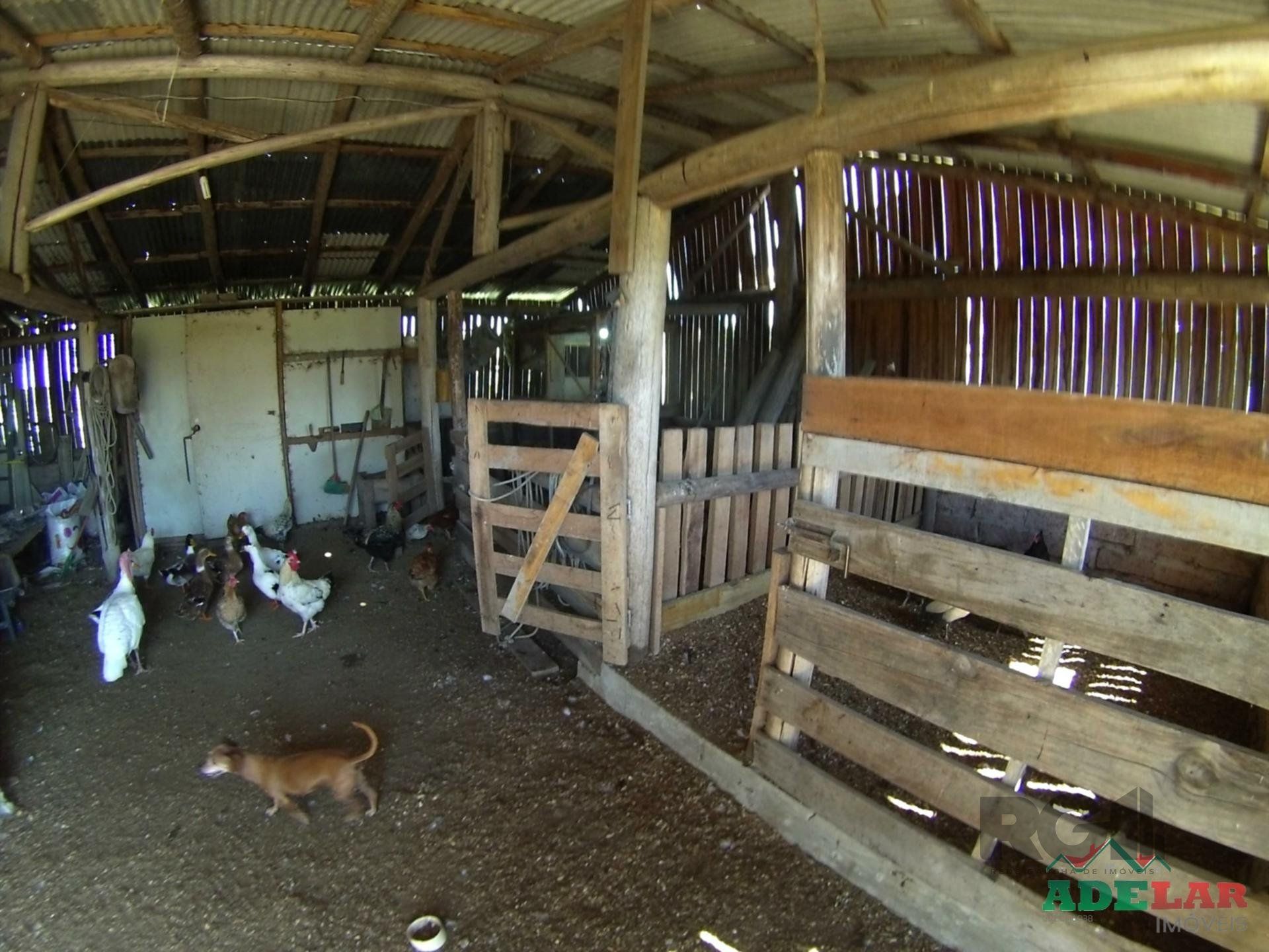 Chácara, 2 quartos, 2 hectares - Foto 68