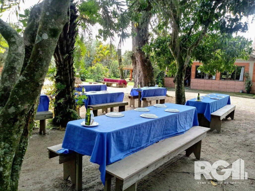 Sítio à venda com 2 quartos, 800m² - Foto 9