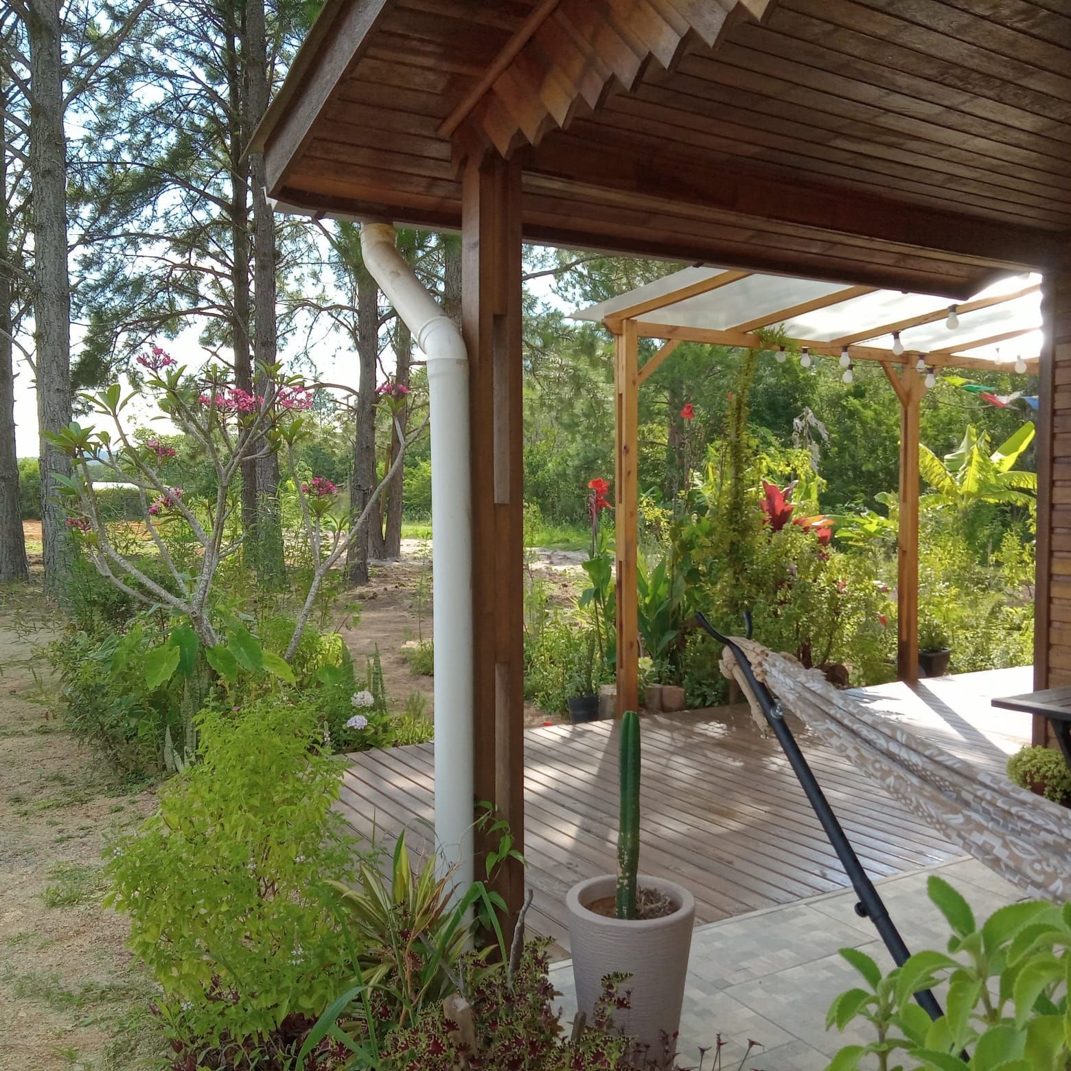 Sítio à venda com 2 quartos, 54m² - Foto 8