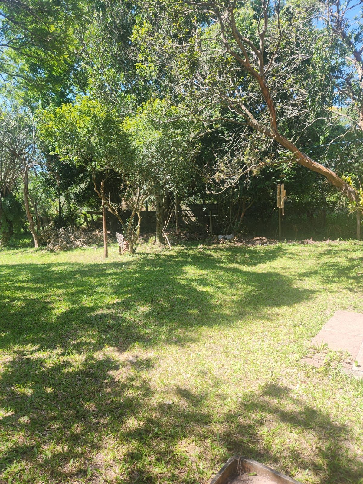 Sítio à venda com 3 quartos, 200m² - Foto 62