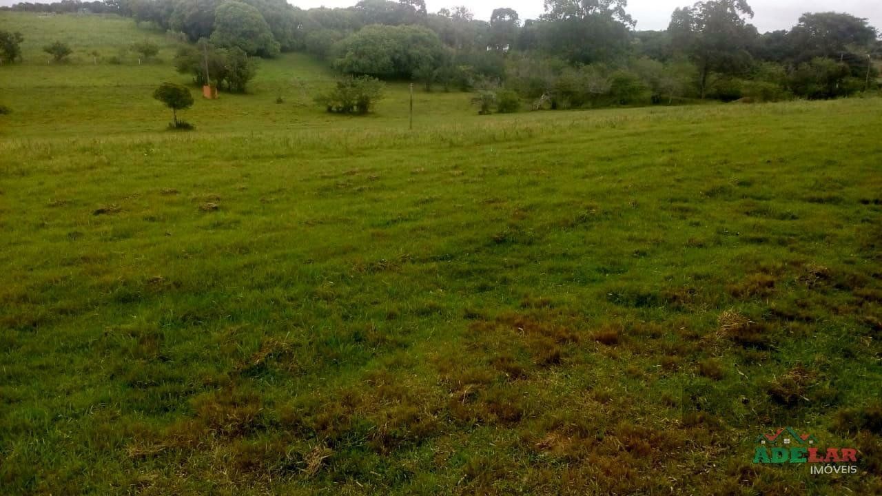 Sítio, 2 quartos, 10 hectares - Foto 31