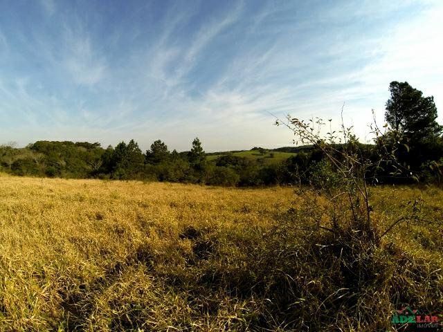 Sítio à venda com 1 quarto, 390000m² - Foto 38