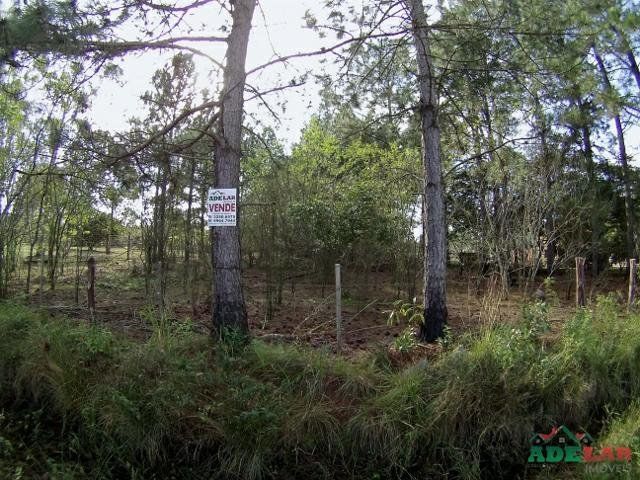 Terreno à venda, 3060m² - Foto 6