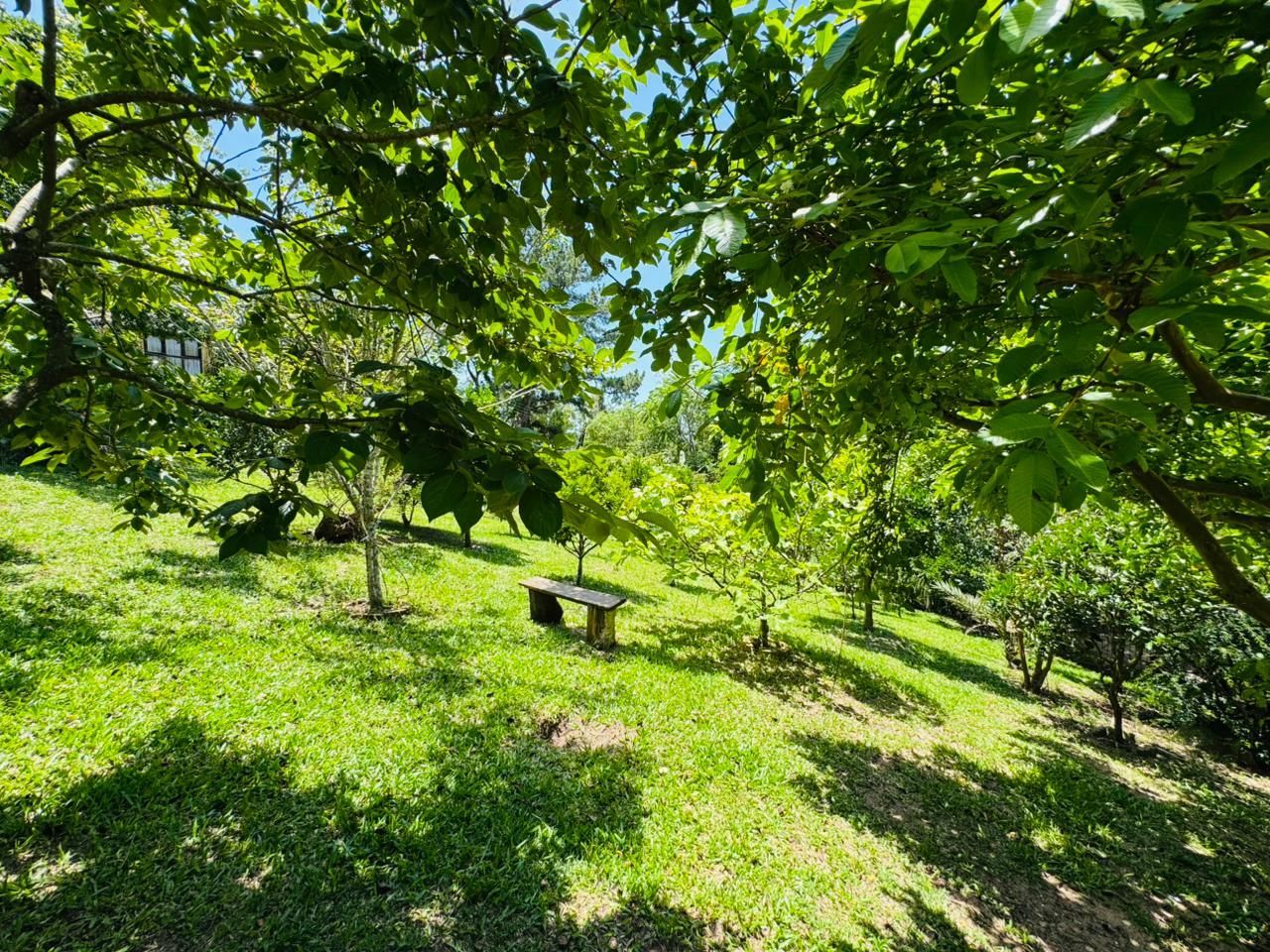 Chácara, 3 quartos, 3200 m² - Foto 26