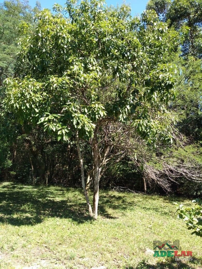 Sítio à venda com 4 quartos, 76737m² - Foto 37