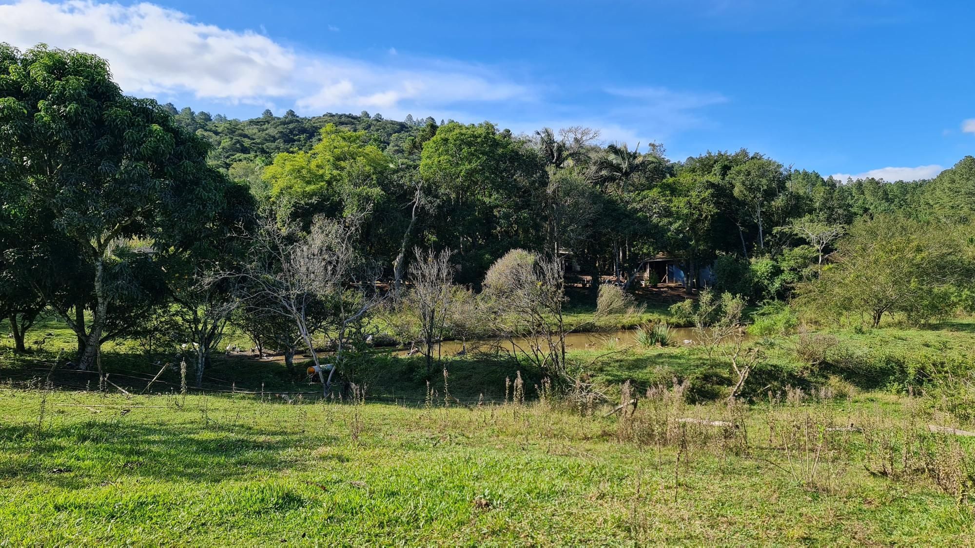 Chácara à venda com 2 quartos, 1m² - Foto 22