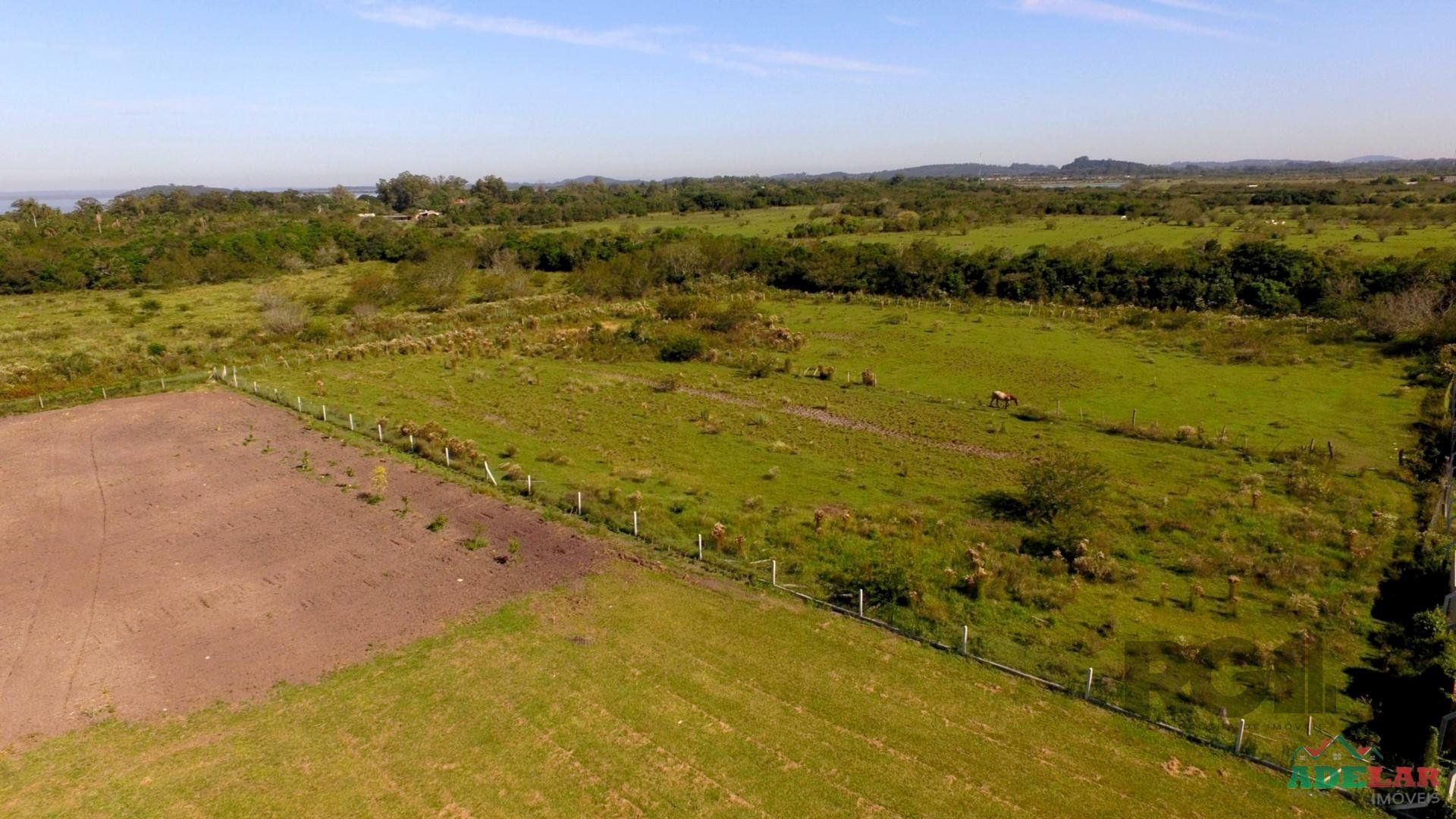 Chácara, 2 quartos, 2 hectares - Foto 2