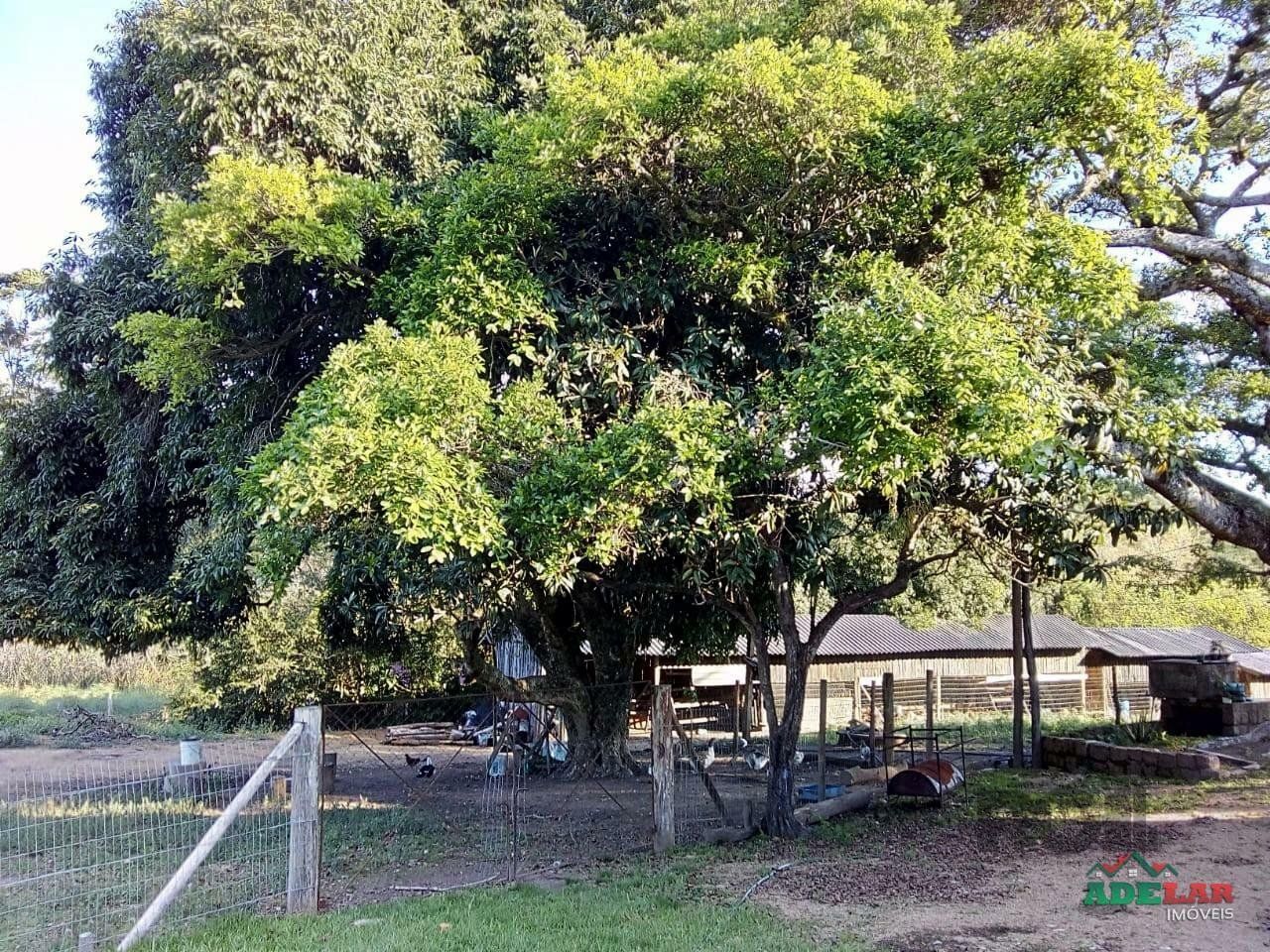 Sítio à venda com 2 quartos, 30000m² - Foto 78