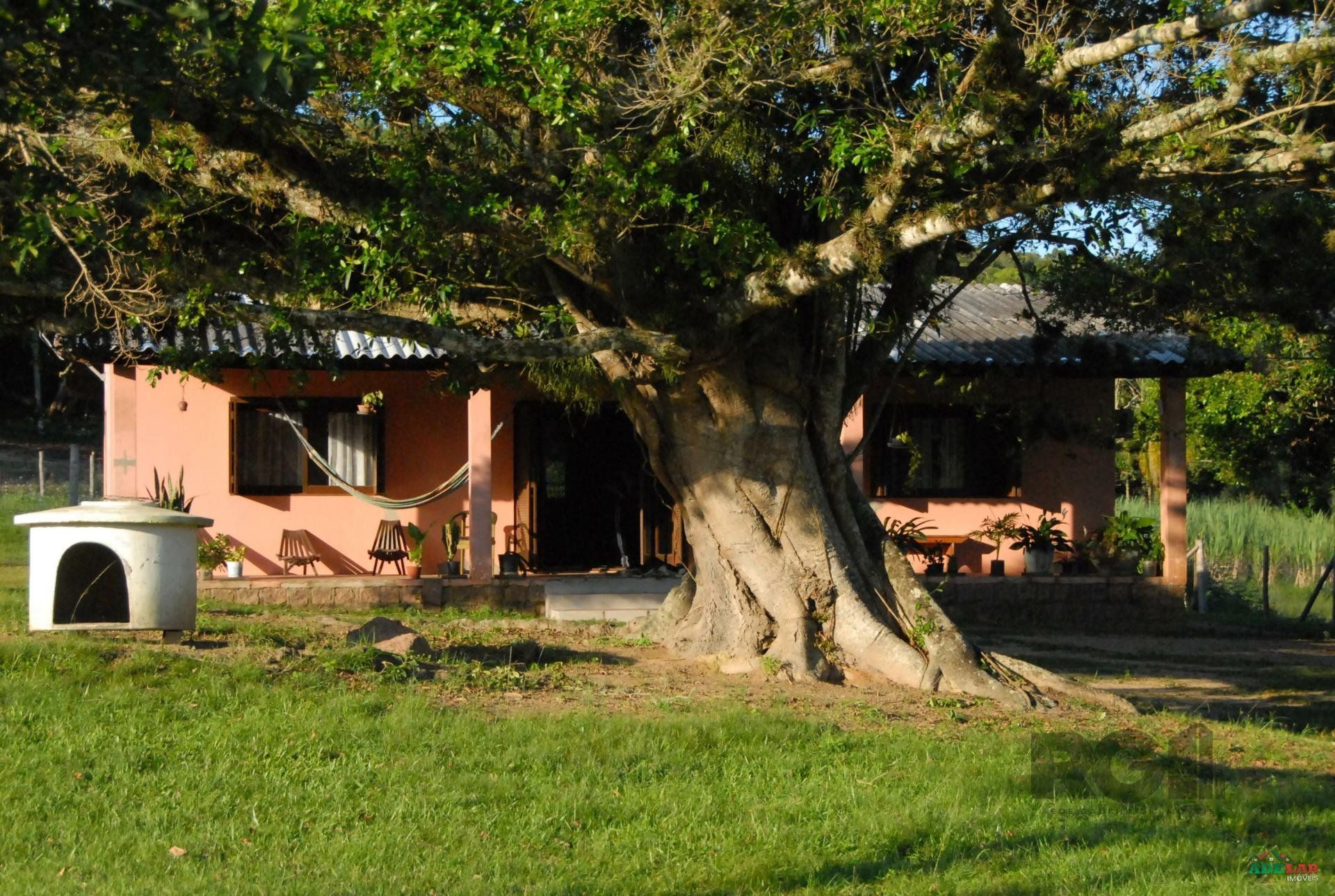 Sítio à venda com 2 quartos, 30000m² - Foto 5