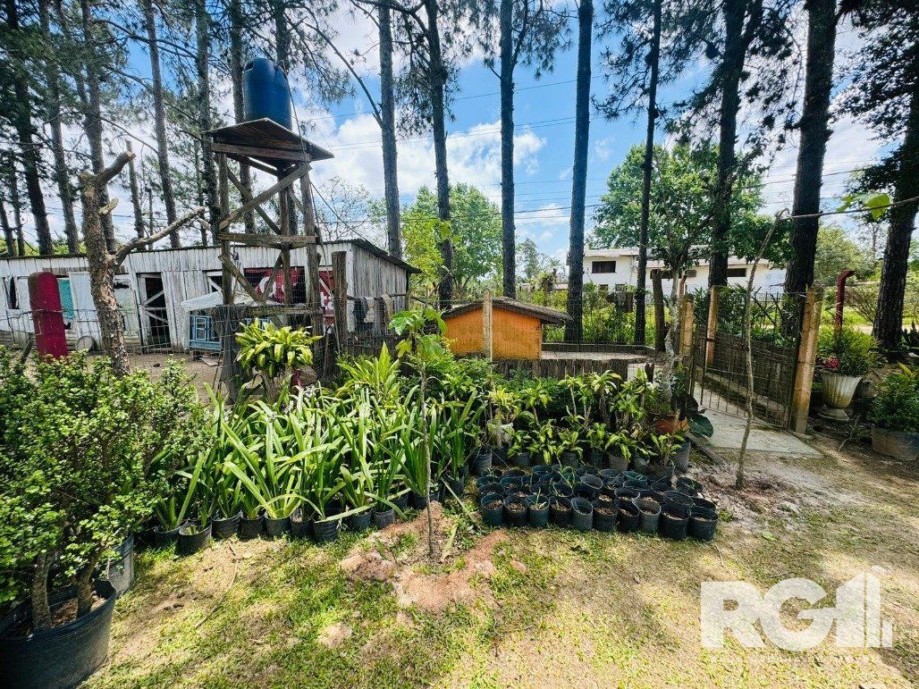 Sítio à venda com 2 quartos, 190m² - Foto 23