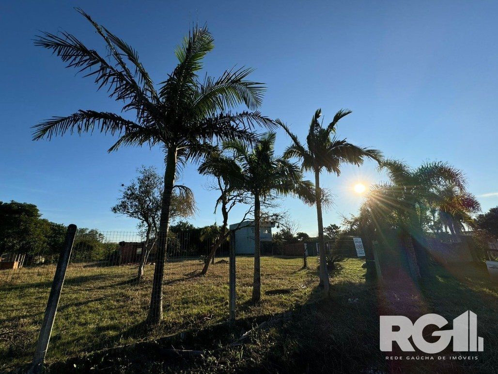 Terreno, 2000 m² - Foto 4