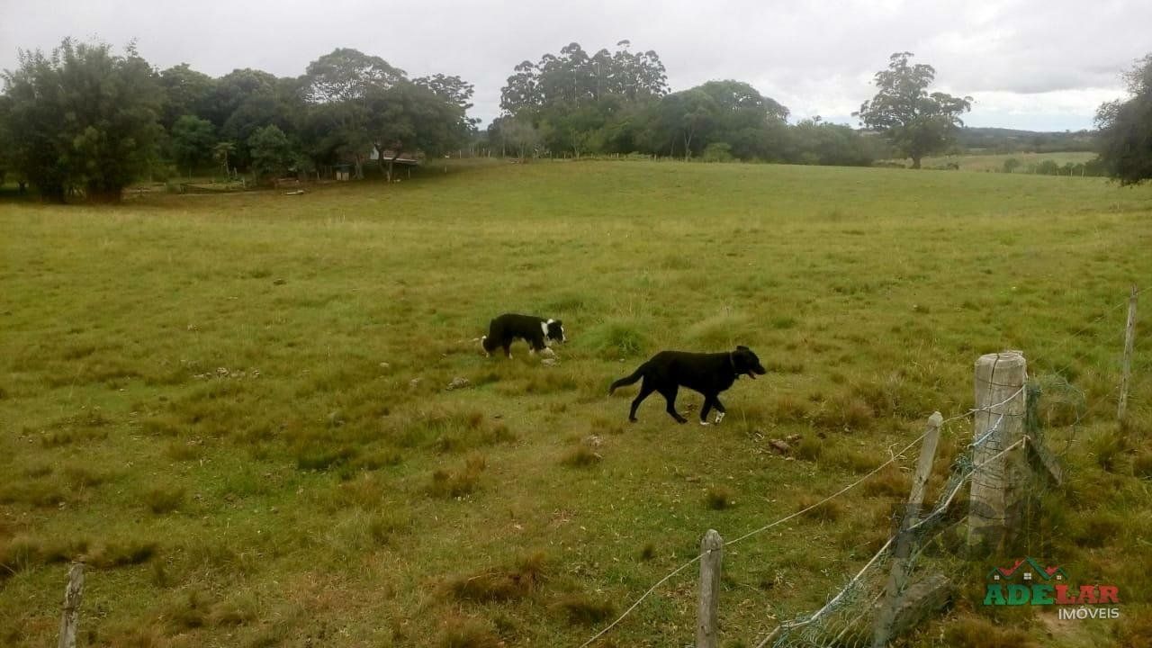 Sítio, 2 quartos, 10 hectares - Foto 41