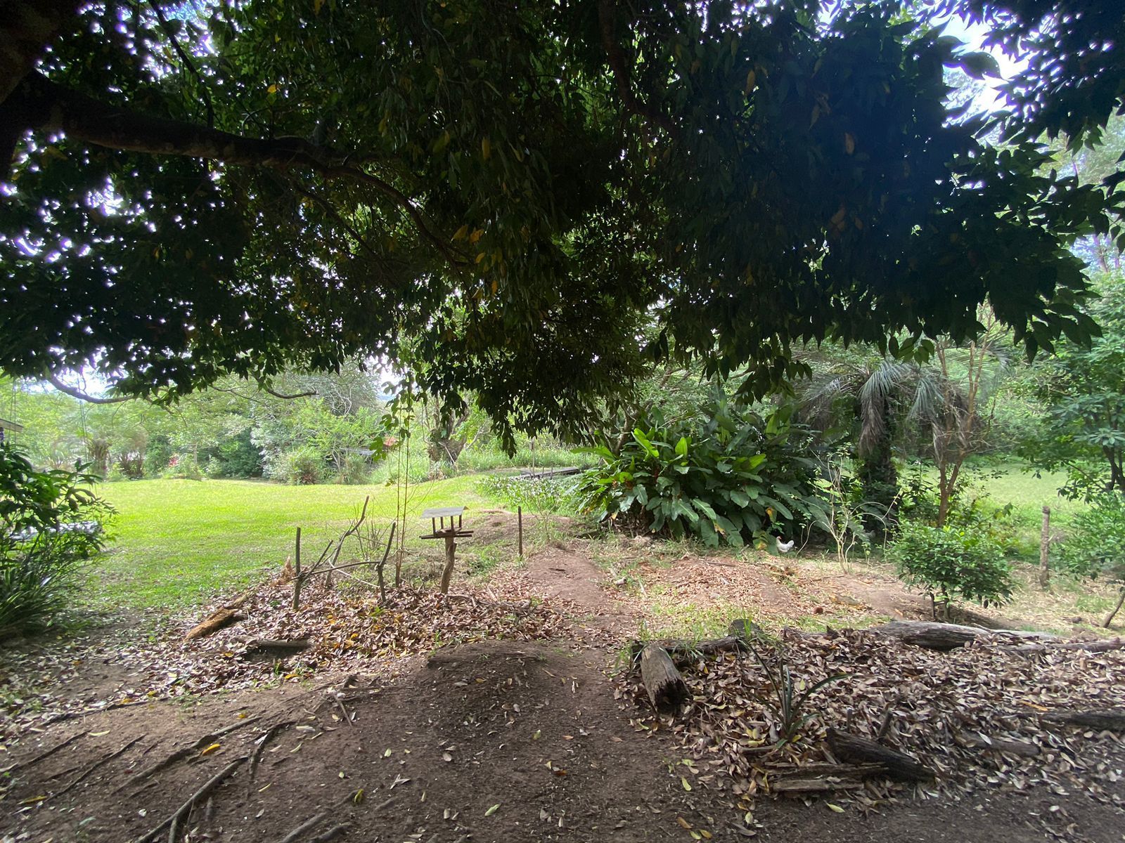 Sítio à venda com 1 quarto, 114m² - Foto 32
