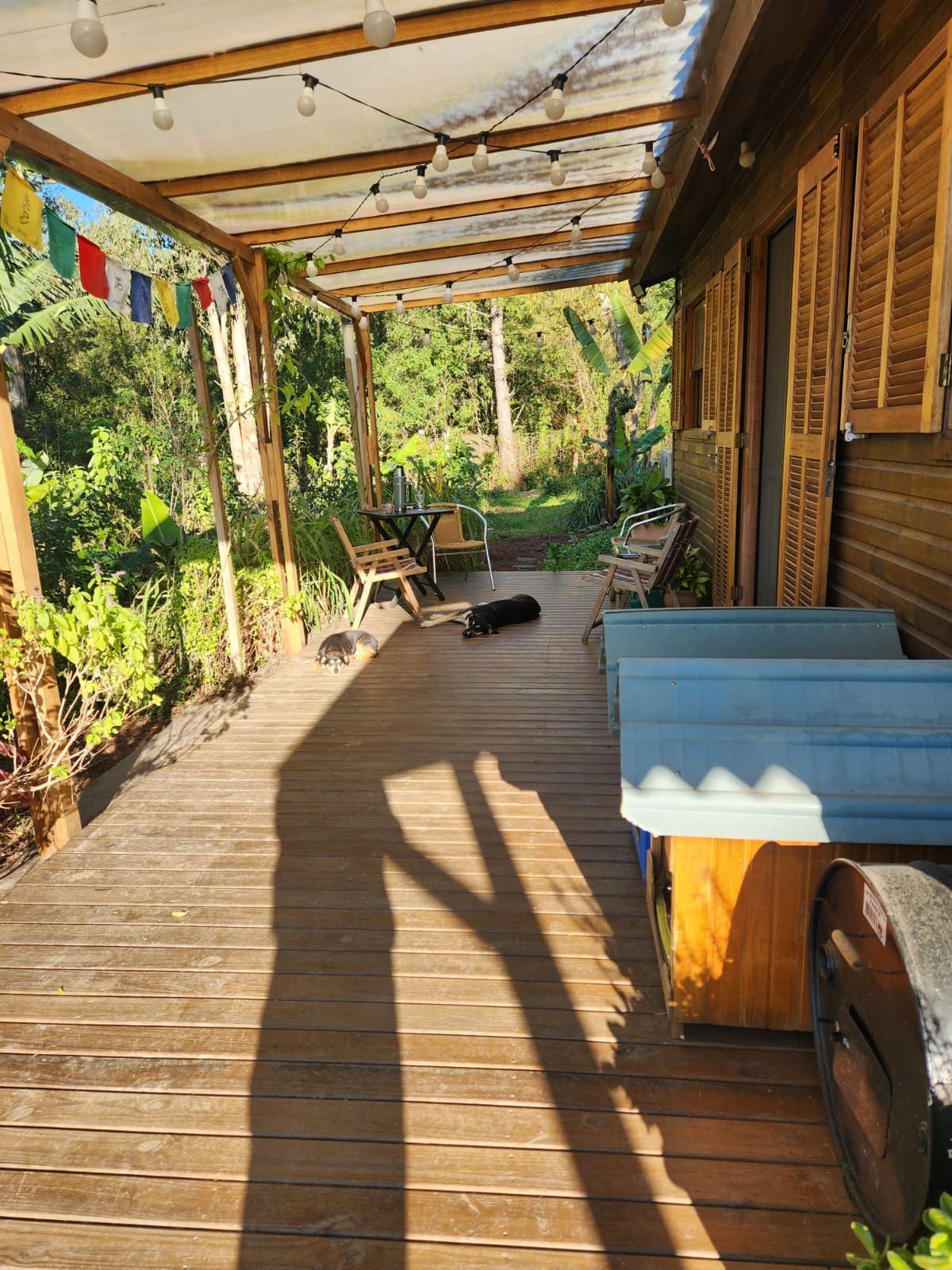 Sítio à venda com 2 quartos, 54m² - Foto 6