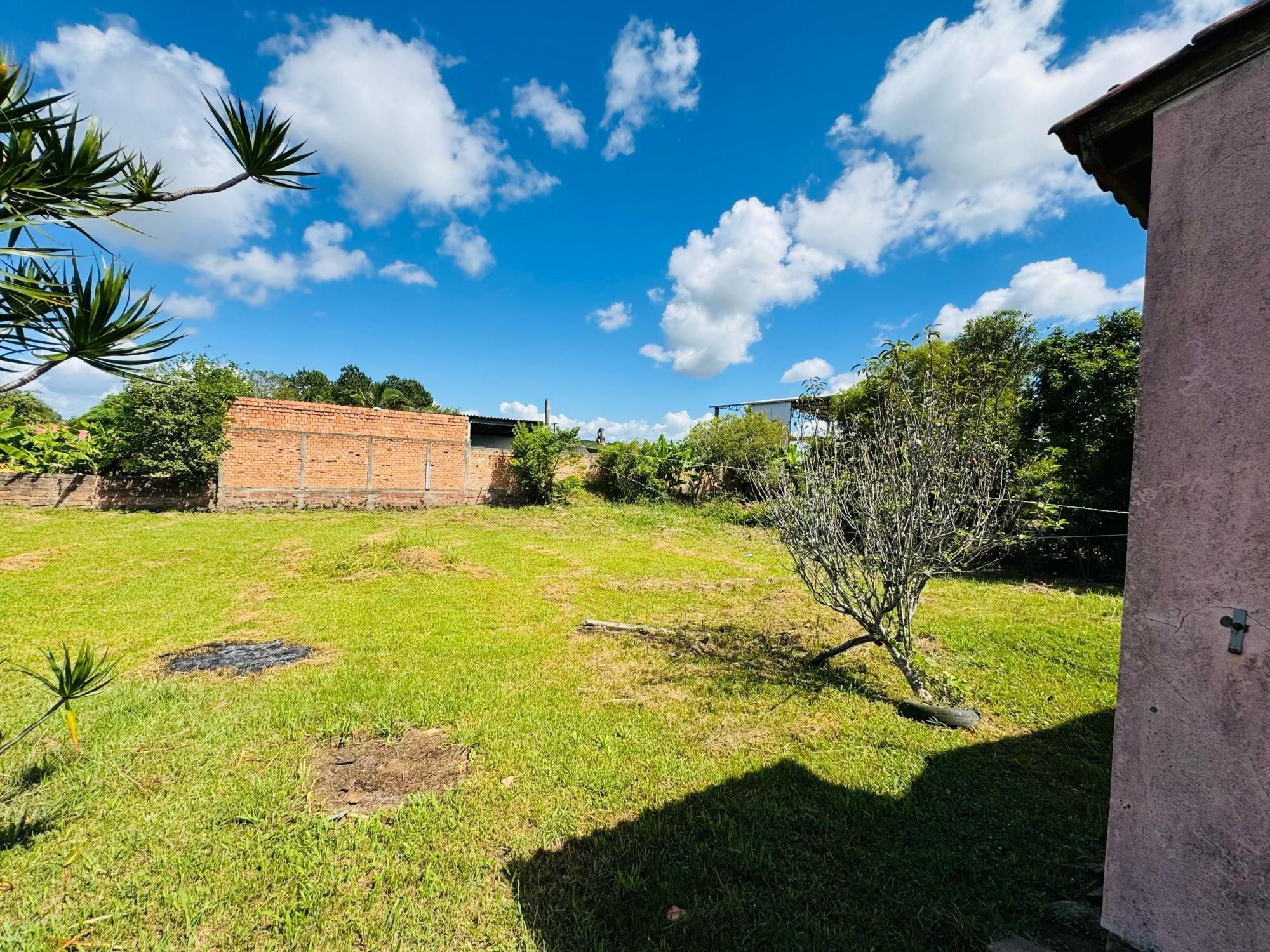 Sítio à venda com 3 quartos, 1000m² - Foto 5