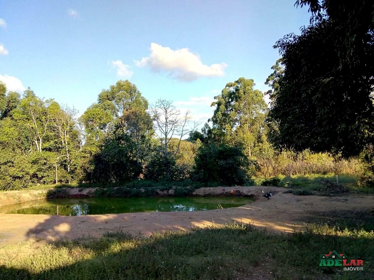 Sítio à venda com 2 quartos, 30000m² - Foto 74