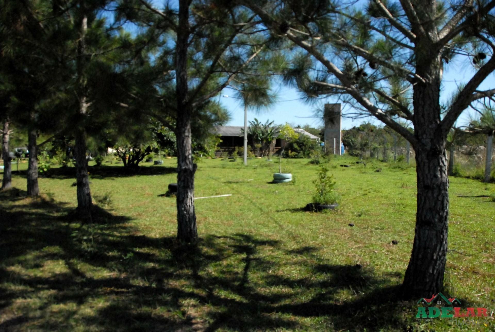 Chácara, 2 quartos, 2 hectares - Foto 8