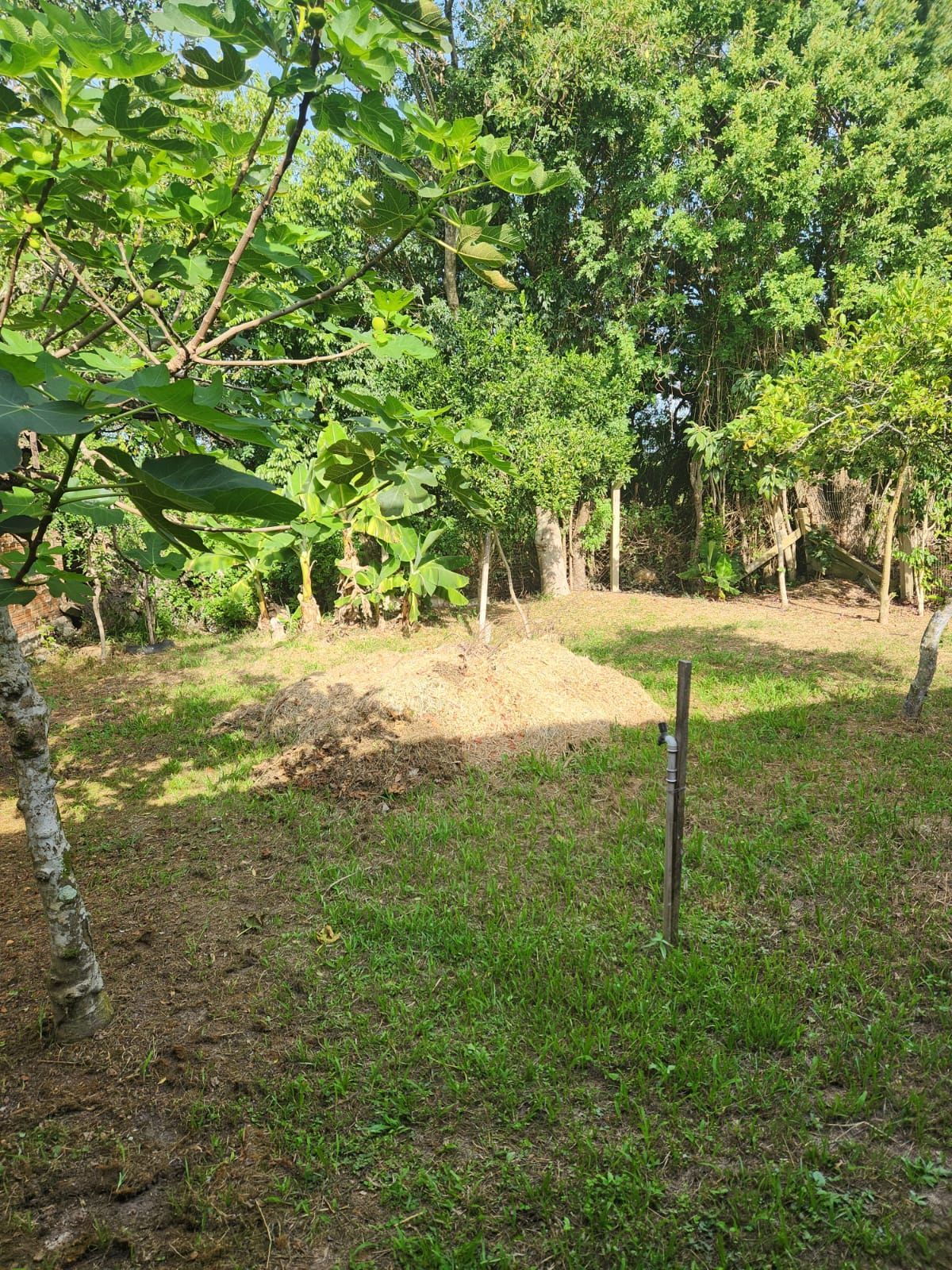 Casa, 1 quarto, 50 m² - Foto 4