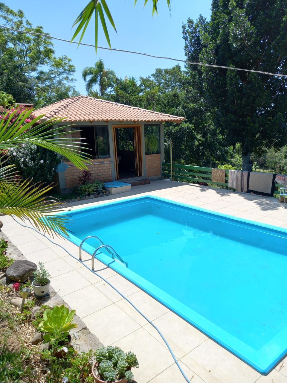 Chácara, 3 quartos, 3200 m² - Foto 4