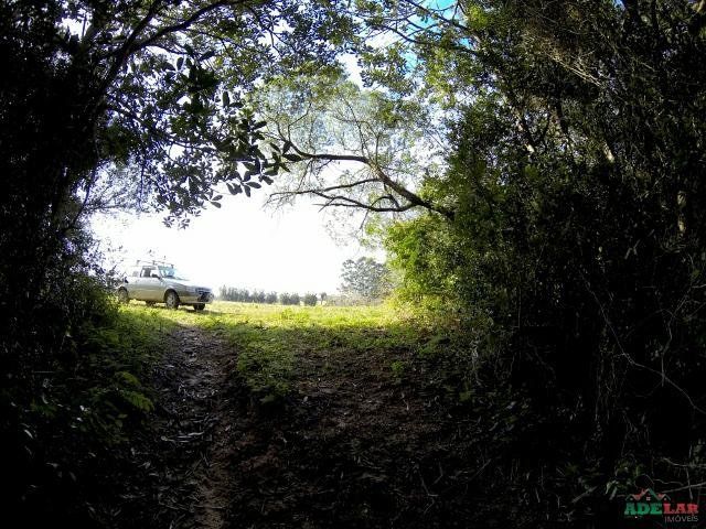 Sítio à venda com 1 quarto, 390000m² - Foto 42