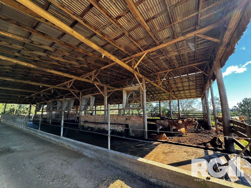Sítio à venda com 2 quartos, 18500m² - Foto 4