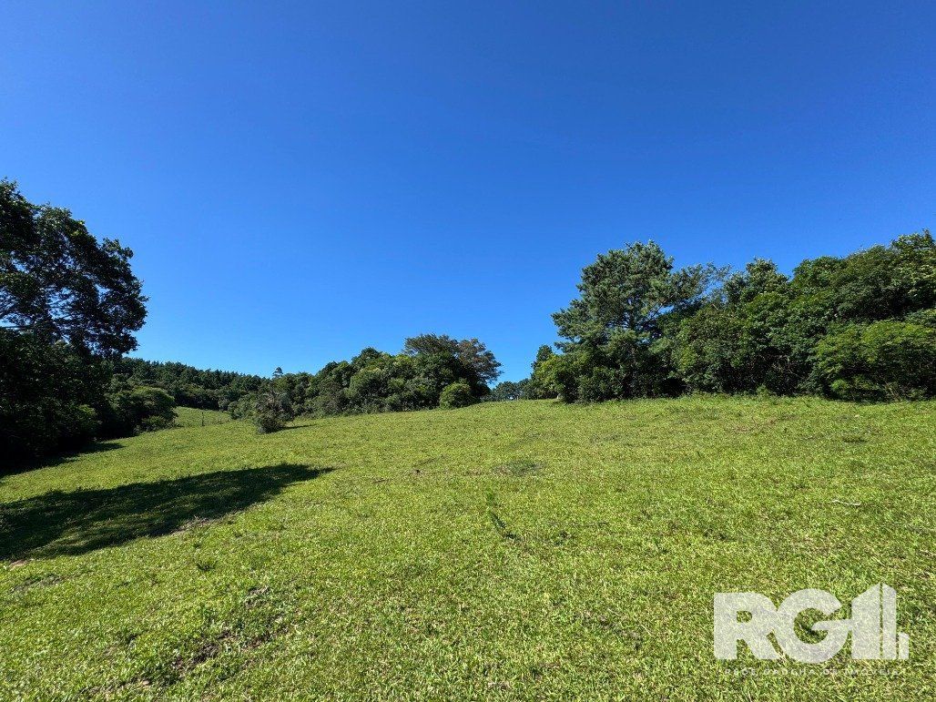 Fazenda à venda com 3 quartos, 141m² - Foto 16