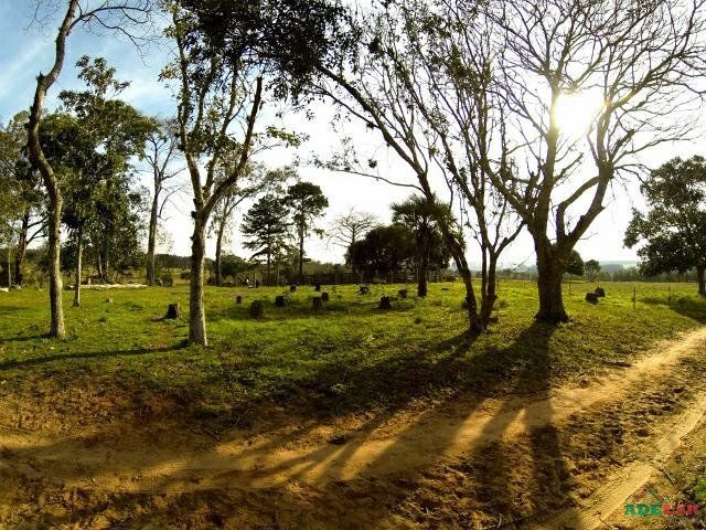 Sítio à venda com 1 quarto, 390000m² - Foto 63