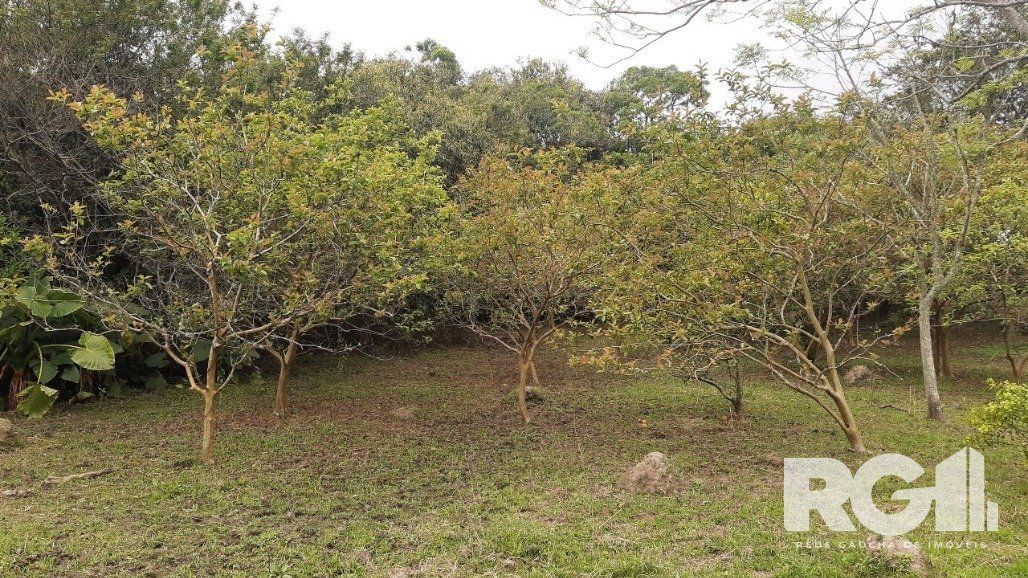 Sítio à venda com 2 quartos, 6611m² - Foto 29
