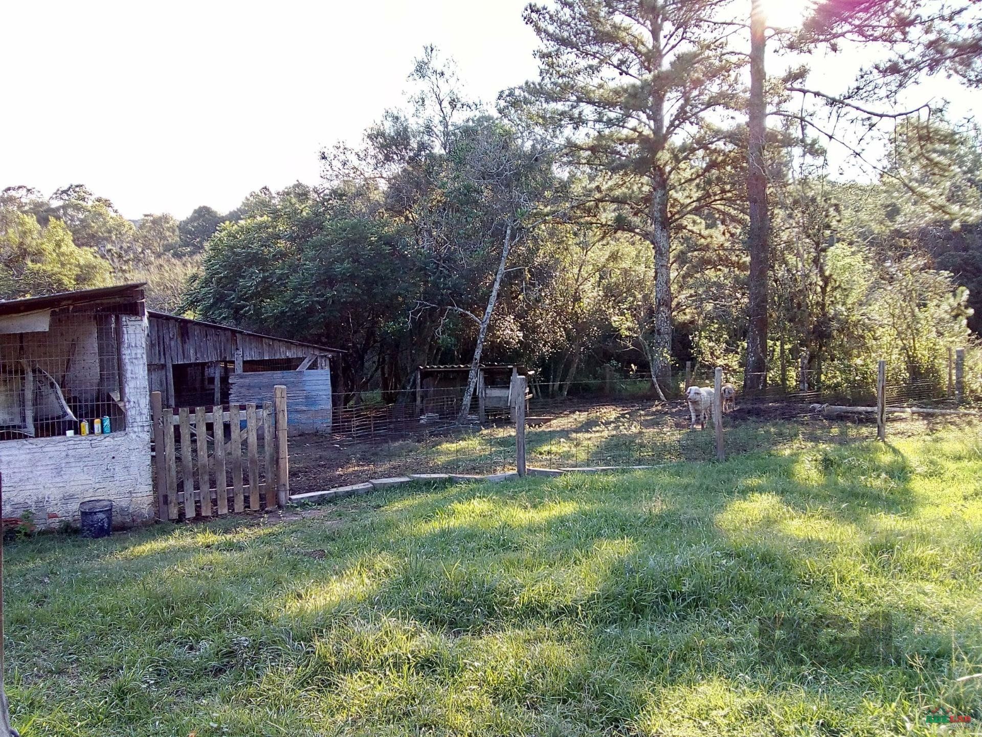 Sítio à venda com 2 quartos, 30000m² - Foto 92
