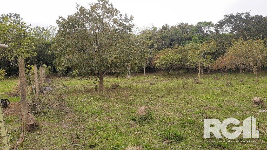 Sítio à venda com 2 quartos, 6611m² - Foto 26